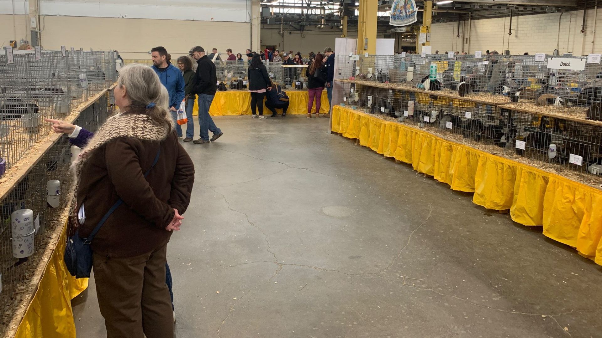 1-8-20 Pennsylvania Farm Show bunnies 3.jpg